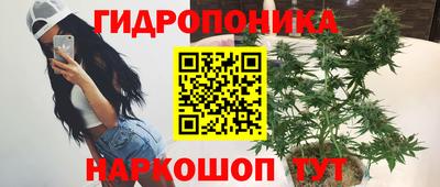 спиды Будённовск